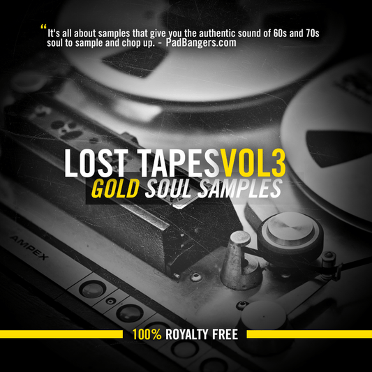 Lost Tapes Vol 3: Gold Soul Samples - Producers Choice